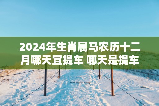 2025年生肖属马农历十二月哪天宜提车 哪天是提车好日子