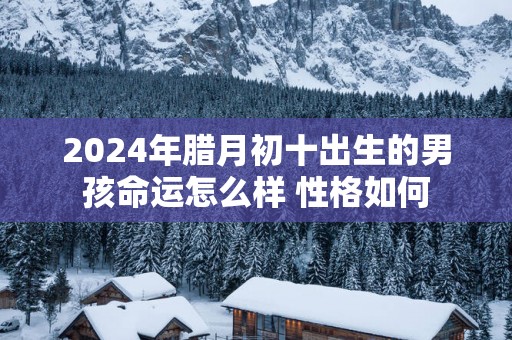 2025年腊月初十出生的男孩命运怎么样 性格如何