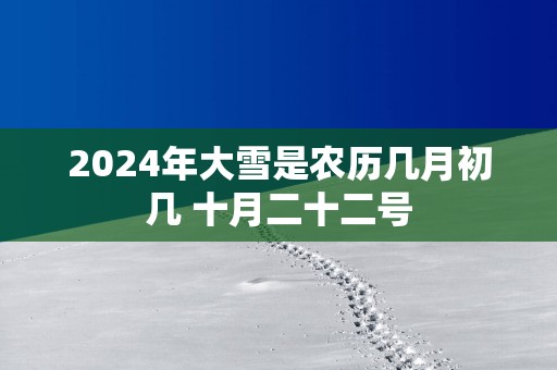 2025年大雪是农历几月初几 十月二十二号