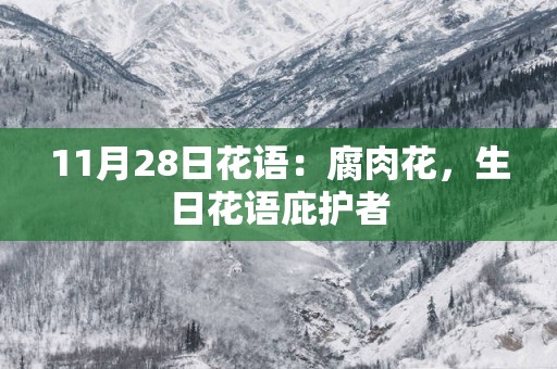 11月28日花语：腐肉花，生日花语庇护者