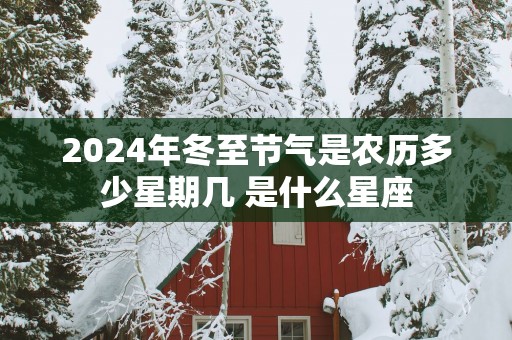 2025年冬至节气是农历多少星期几 是什么星座