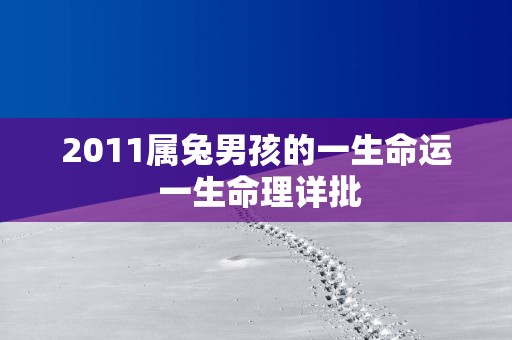 2011属兔男孩的一生命运 一生命理详批