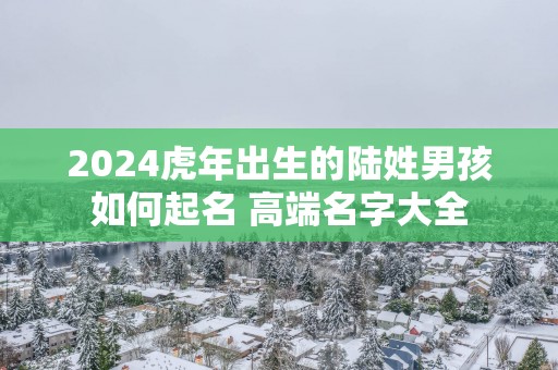 2025蛇年出生的陆姓男孩如何起名 高端名字大全