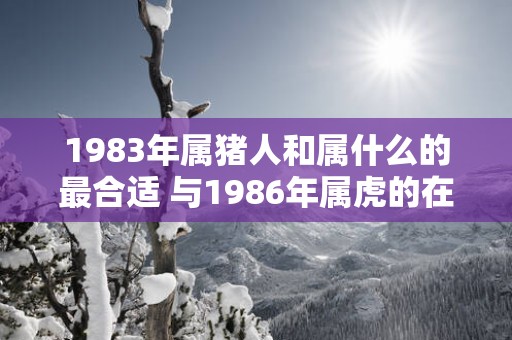 1983年属猪人和属什么的最合适 与1986年属虎的在一起好不