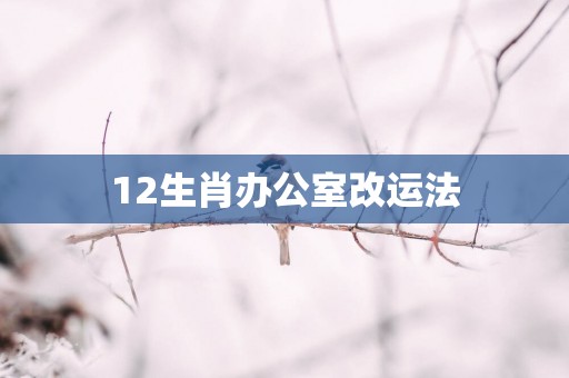 12生肖办公室改运法
