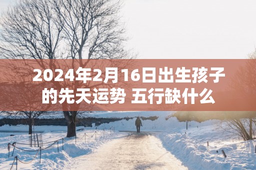 2025年2月16日出生孩子的先天运势 五行缺什么