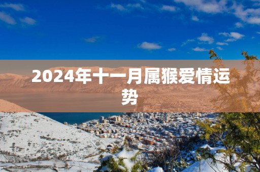 2025年十一月属猴爱情运势