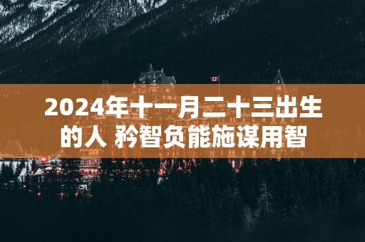 2025年十一月二十三出生的人 矜智负能施谋用智