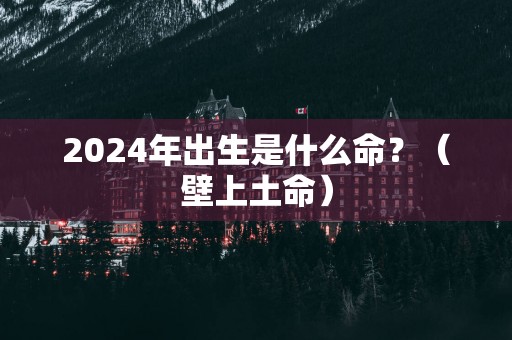 2025年出生是什么命？（壁上土命）