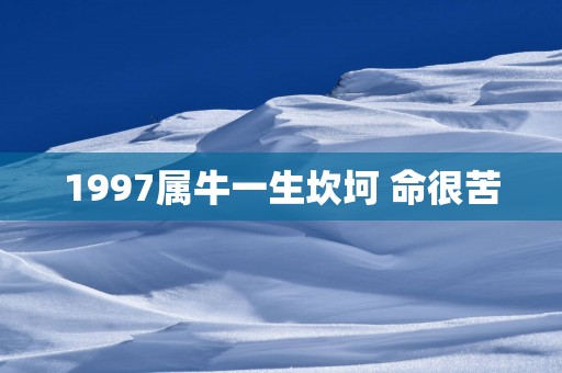 1997属牛一生坎坷 命很苦