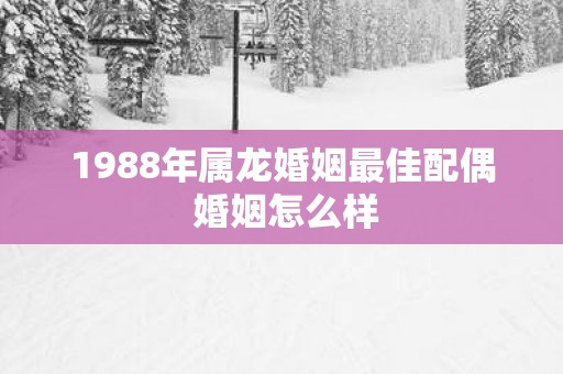 1988年属龙婚姻最佳配偶 婚姻怎么样
