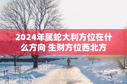 2025年属蛇大利方位在什么方向 生财方位西北方