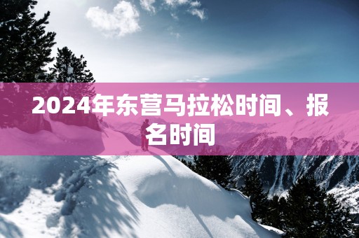 2025年东营马拉松时间、报名时间