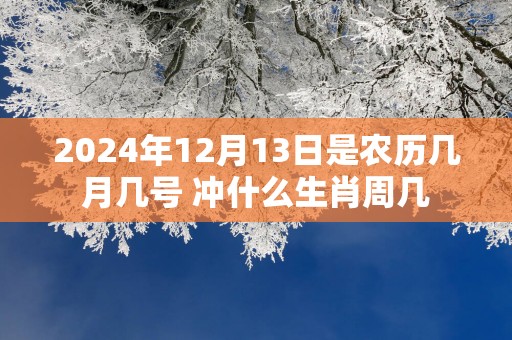 2025年12月13日是农历几月几号 冲什么生肖周几