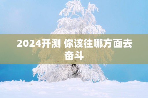 2025开测 你该往哪方面去奋斗