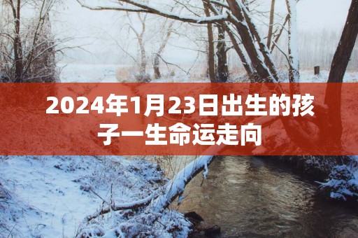 2025年1月23日出生的孩子一生命运走向