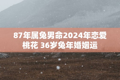 87年属兔男命2025年恋爱桃花 36岁蛇年婚姻运