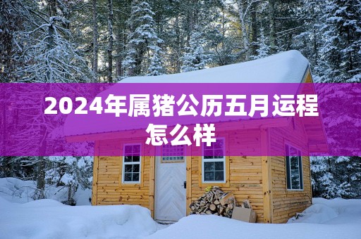 2025年属猪公历五月运程怎么样