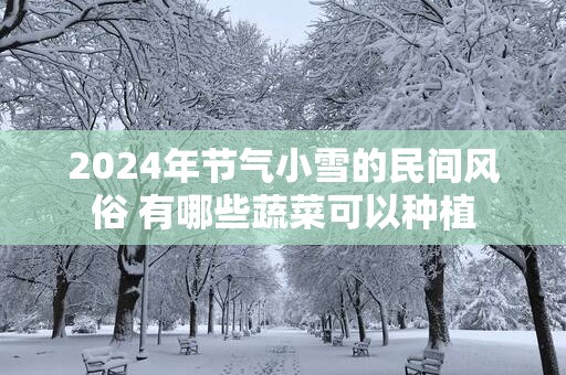 2025年节气小雪的民间风俗 有哪些蔬菜可以种植