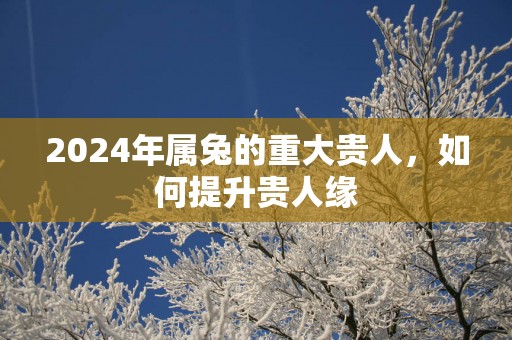 2025年属兔的重大贵人，如何提升贵人缘