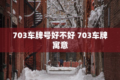 703车牌号好不好 703车牌寓意