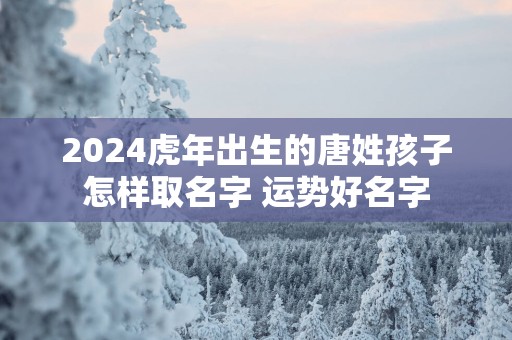 2025蛇年出生的唐姓孩子怎样取名字 运势好名字