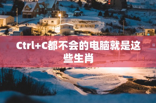 Ctrl+C都不会的电脑就是这些生肖