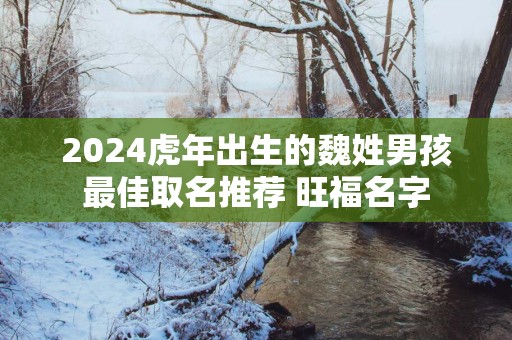 2025蛇年出生的魏姓男孩最佳取名推荐 旺福名字