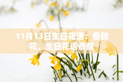 11月13日生日花语：香甜花，生日花语香甜