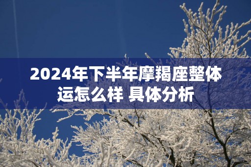 2025年下半年摩羯座整体运怎么样 具体分析