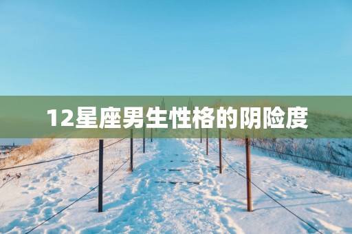 12星座男生性格的阴险度