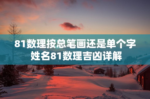 81数理按总笔画还是单个字 姓名81数理吉凶详解