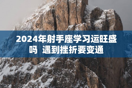 2025年射手座学习运旺盛吗  遇到挫折要变通