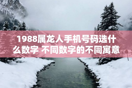 1988属龙人手机号码选什么数字 不同数字的不同寓意