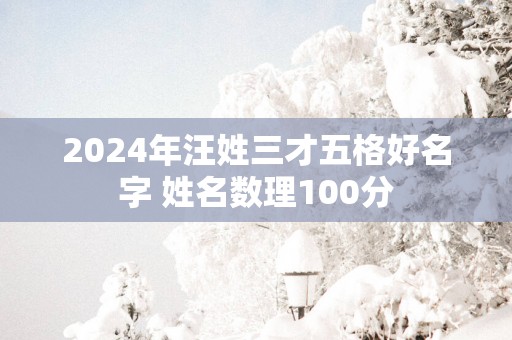 2025年汪姓三才五格好名字 姓名数理100分