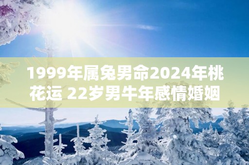 1999年属兔男命2025年桃花运 22岁男蛇年感情婚姻运势