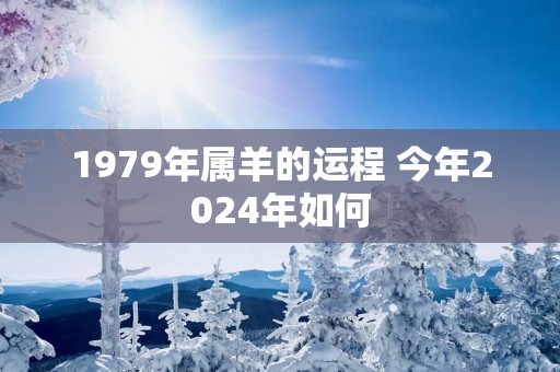 1979年属羊的运程 今年2025年如何