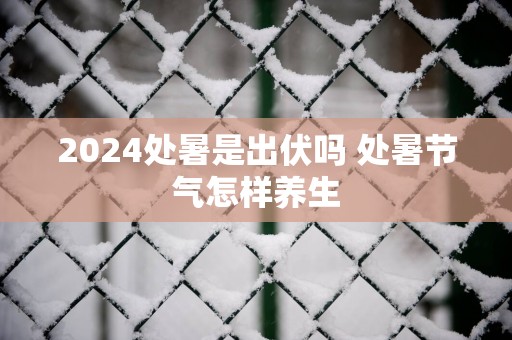 2025处暑是出伏吗 处暑节气怎样养生