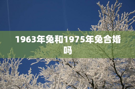 1963年兔和1975年兔合婚吗