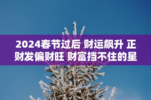 2025春节过后 财运飙升 正财发偏财旺 财富挡不住的星座