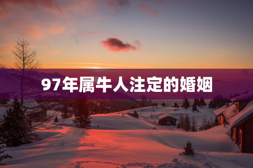 97年属牛人注定的婚姻