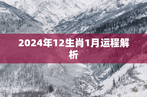 2025年12生肖1月运程解析