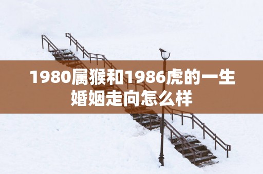 1980属猴和1986虎的一生婚姻走向怎么样