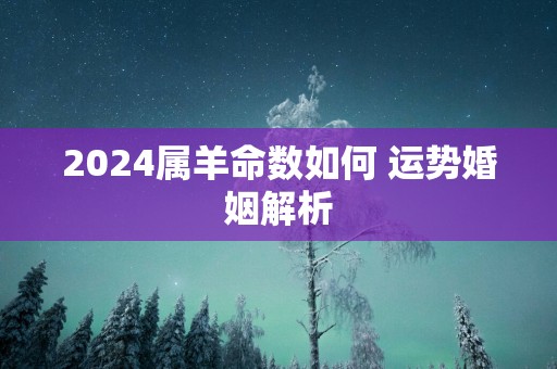 2025属羊命数如何 运势婚姻解析