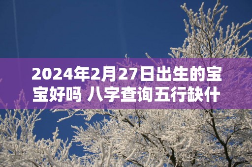 2025年2月27日出生的宝宝好吗 八字查询五行缺什么
