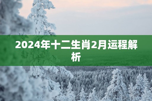 2025年十二生肖2月运程解析