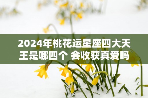 2025年桃花运星座四大天王是哪四个 会收获真爱吗
