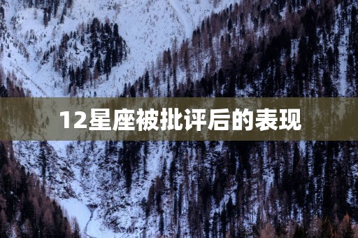 12星座被批评后的表现