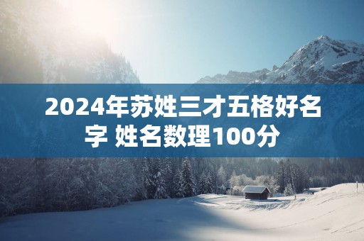 2025年苏姓三才五格好名字 姓名数理100分