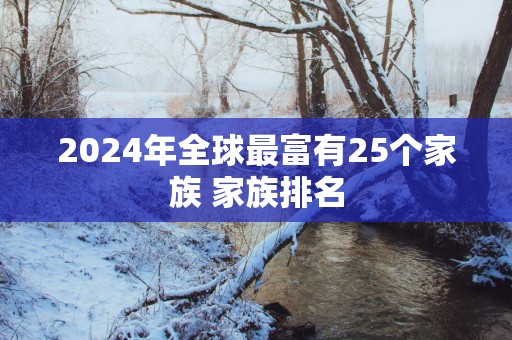 2025年全球最富有25个家族 家族排名